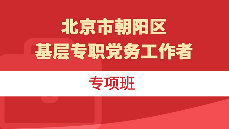 2019年北京市朝阳区基层专职党务工作者专项班